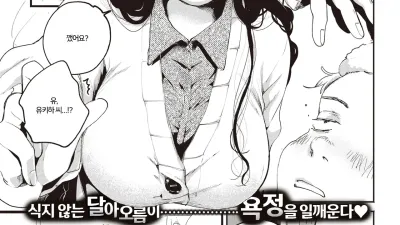 불의 씨앗